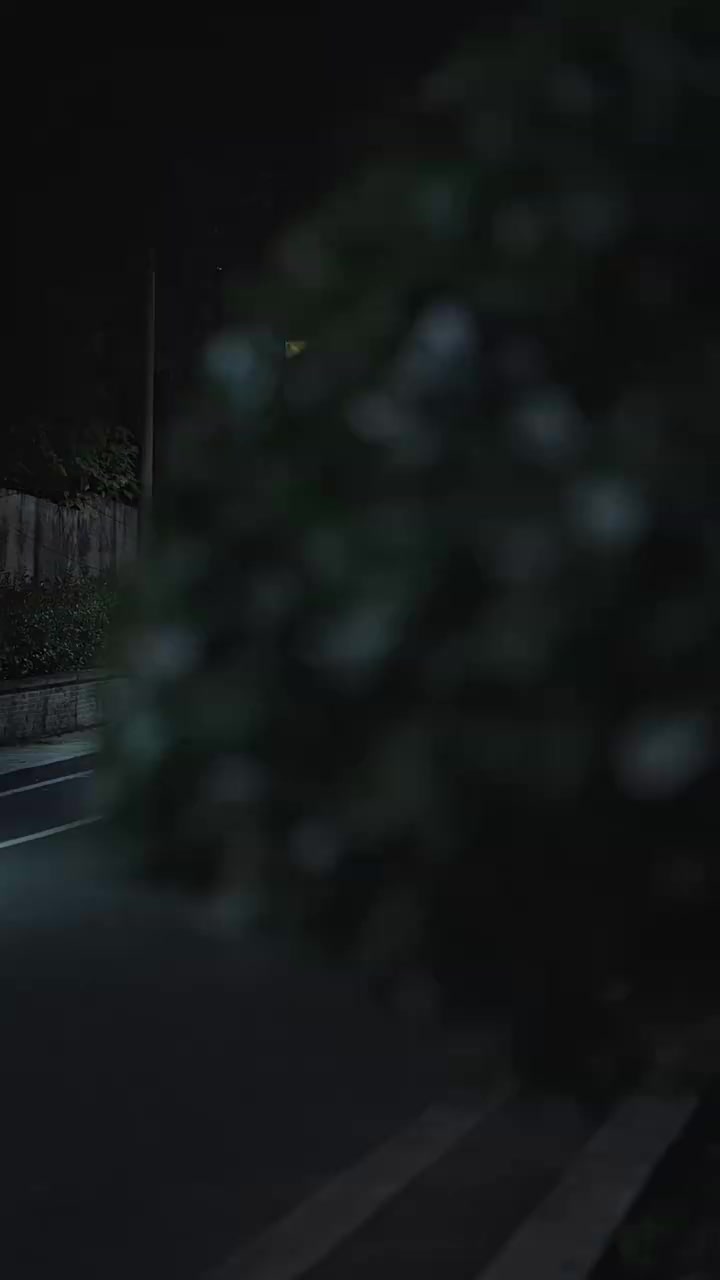 009
