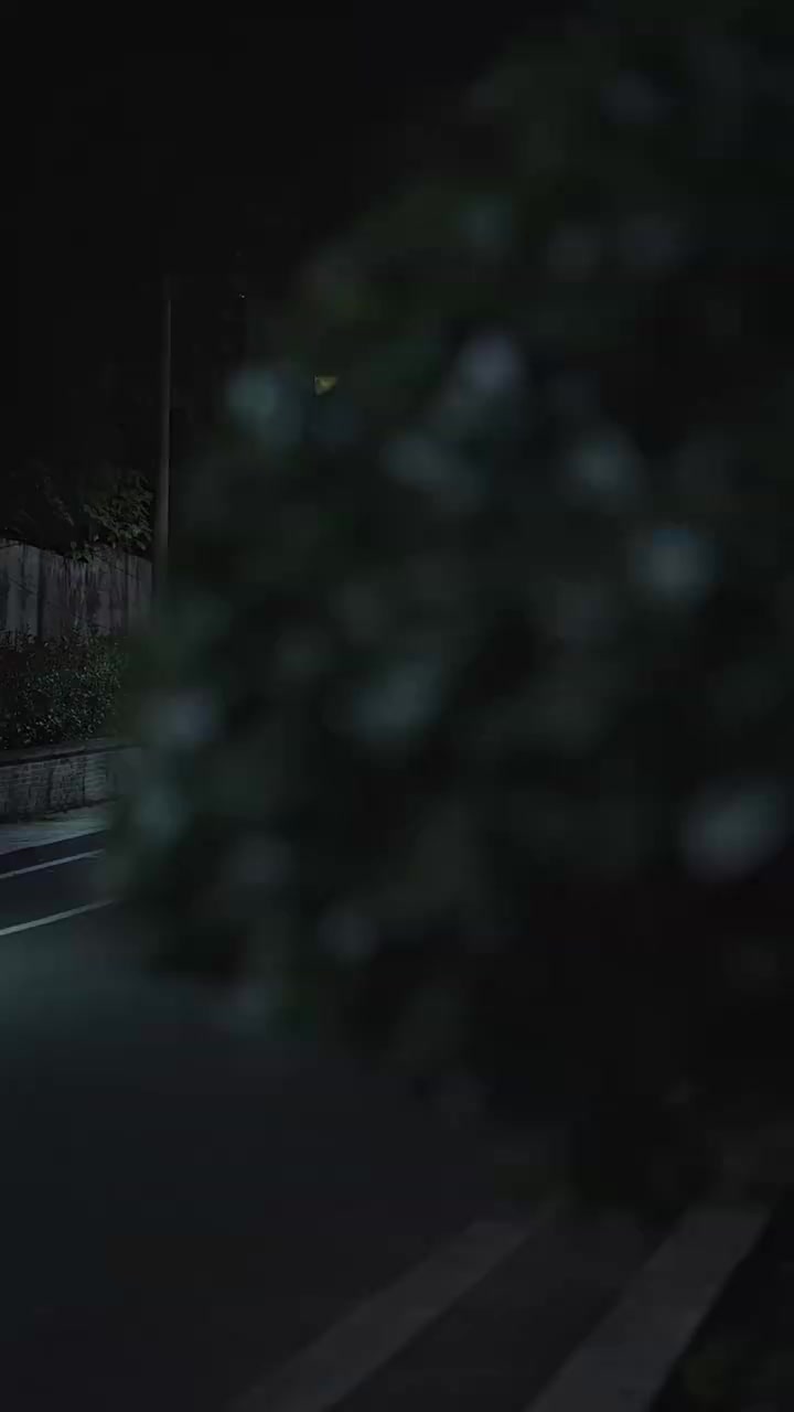 009