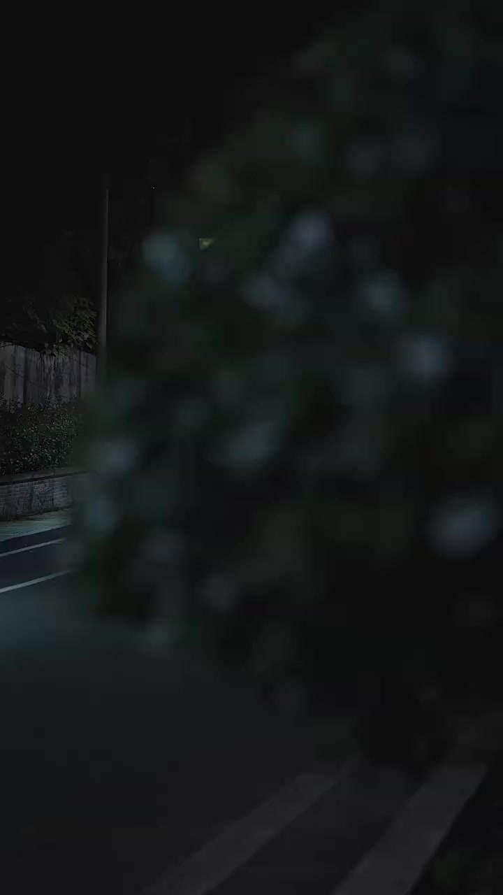 009