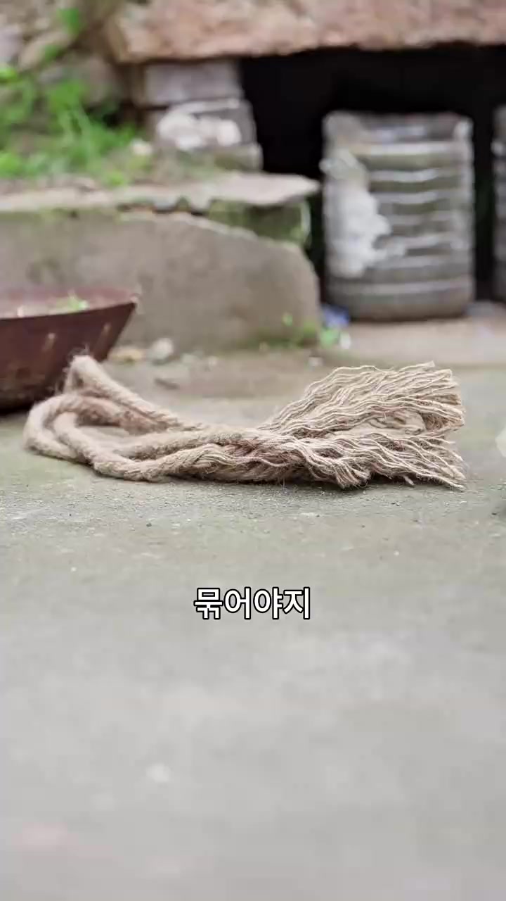 Episode 41