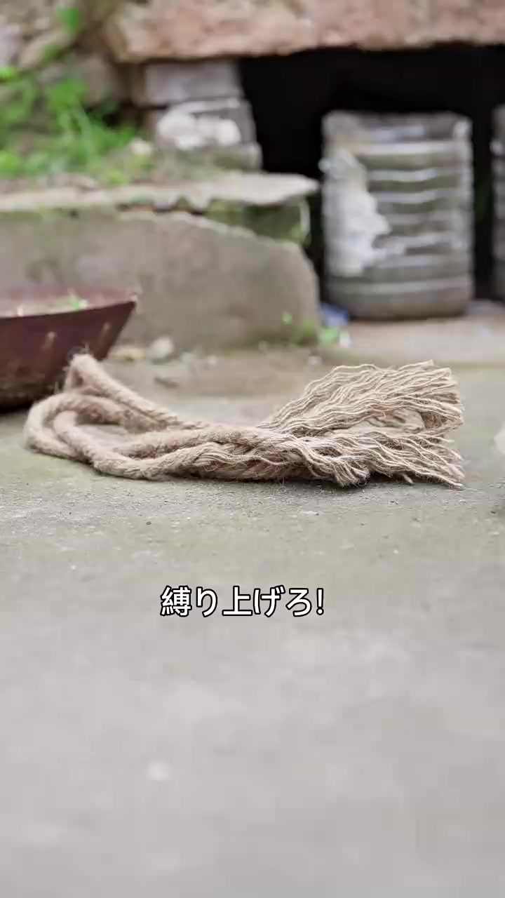 Episode 41