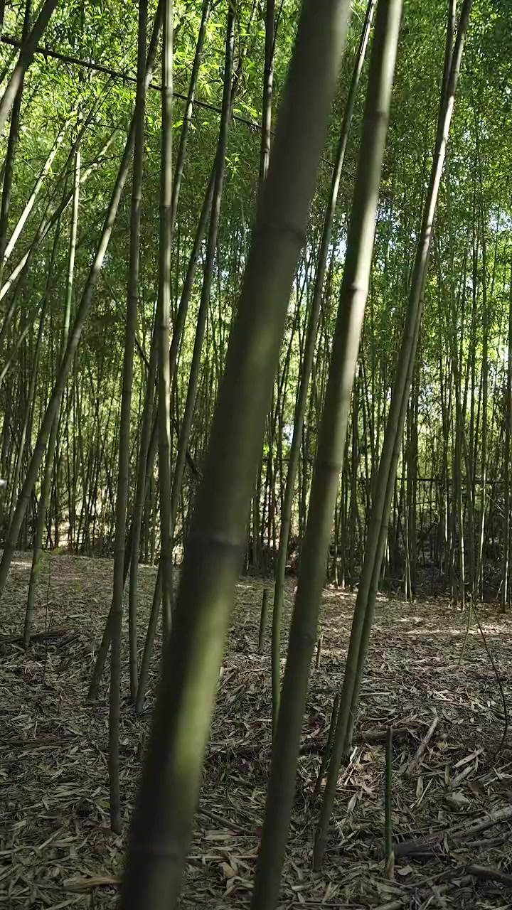 Episode 56