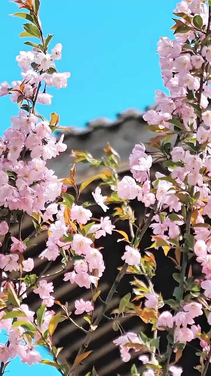 067