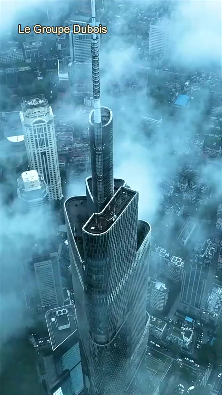 010