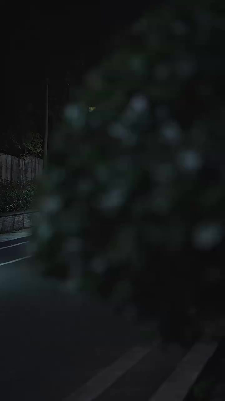 009