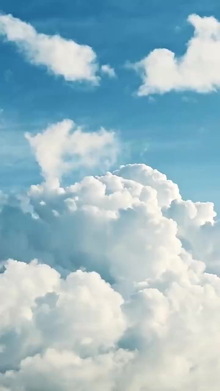 007