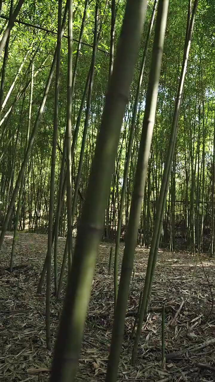 Episode 56