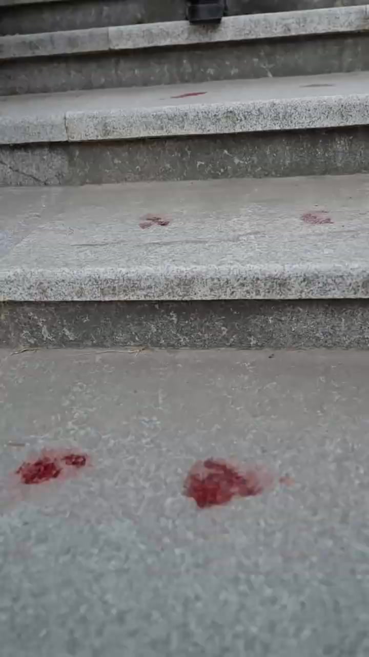Episode 68