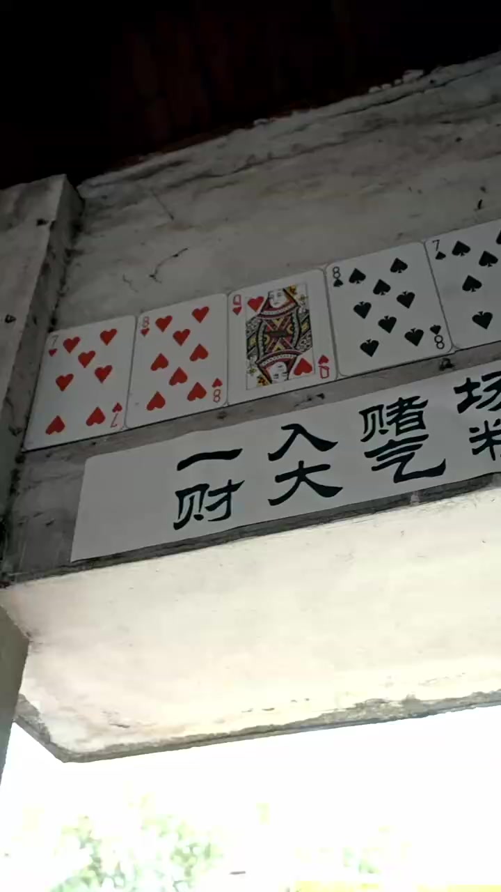 003
