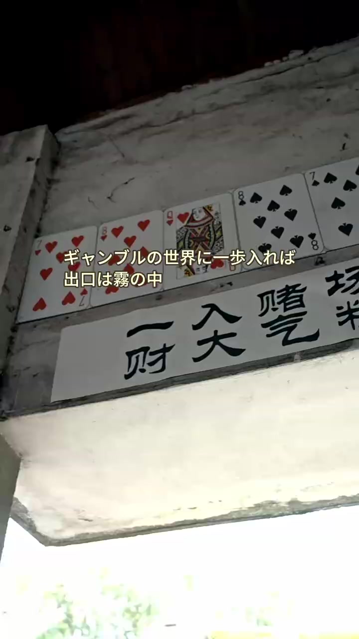 003