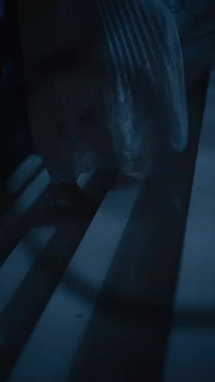 Episode 23