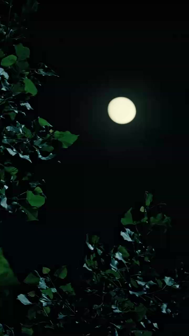 018