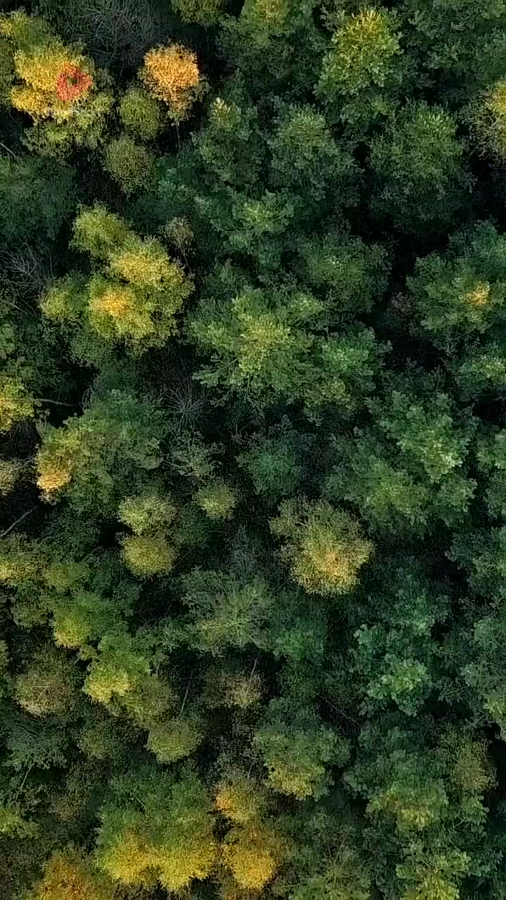 Episode 43