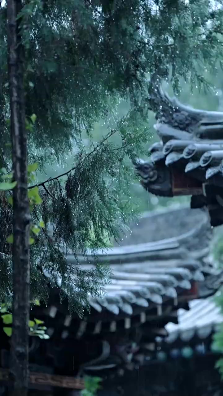 Episode 55