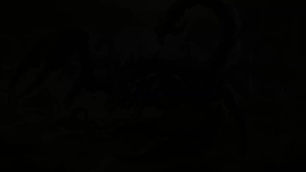 Episode 65