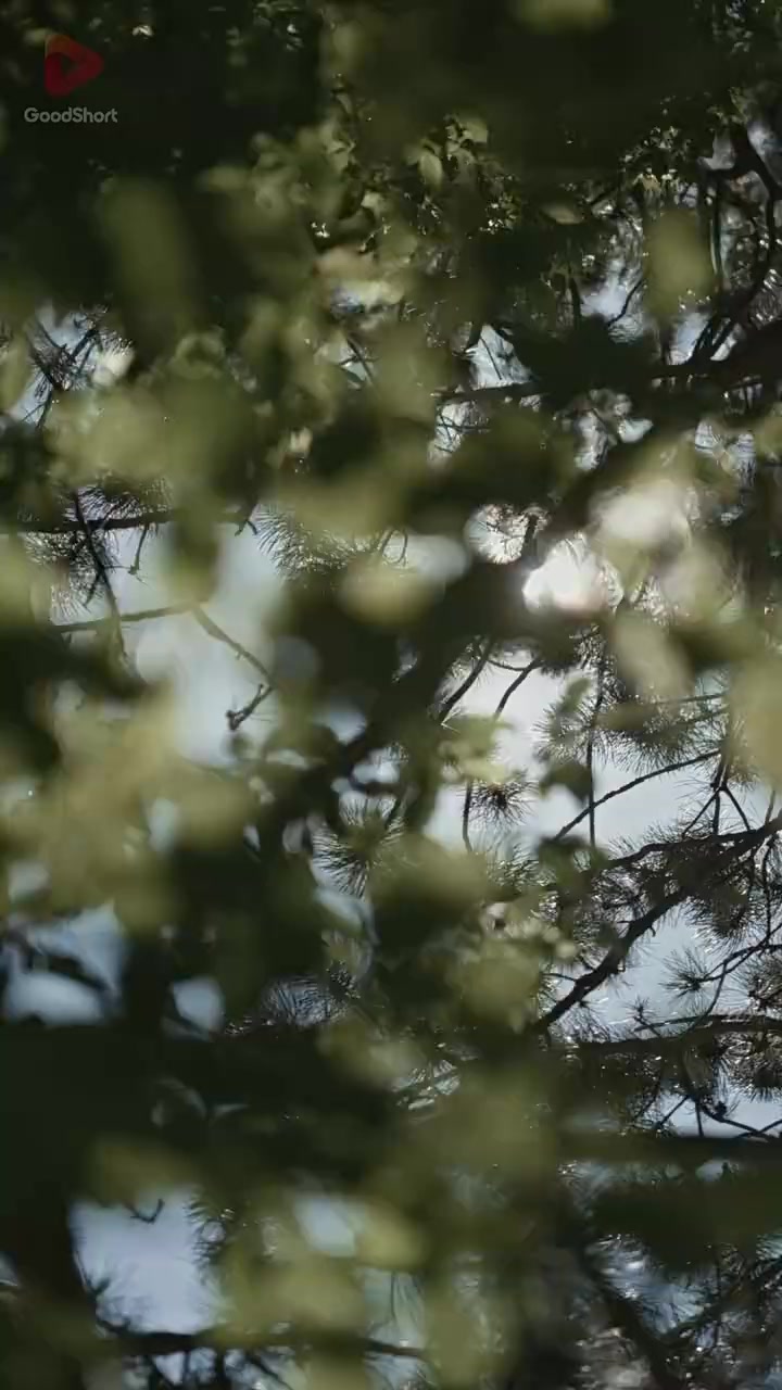 Episode 31