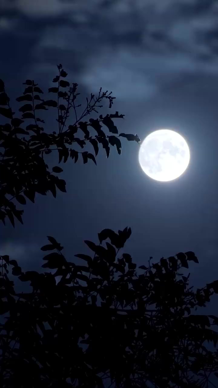 Episode 41