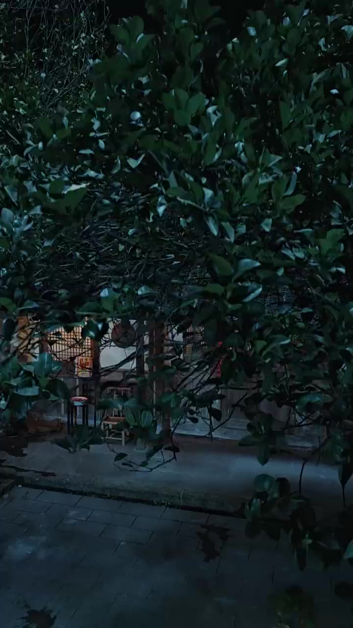 Episode 29
