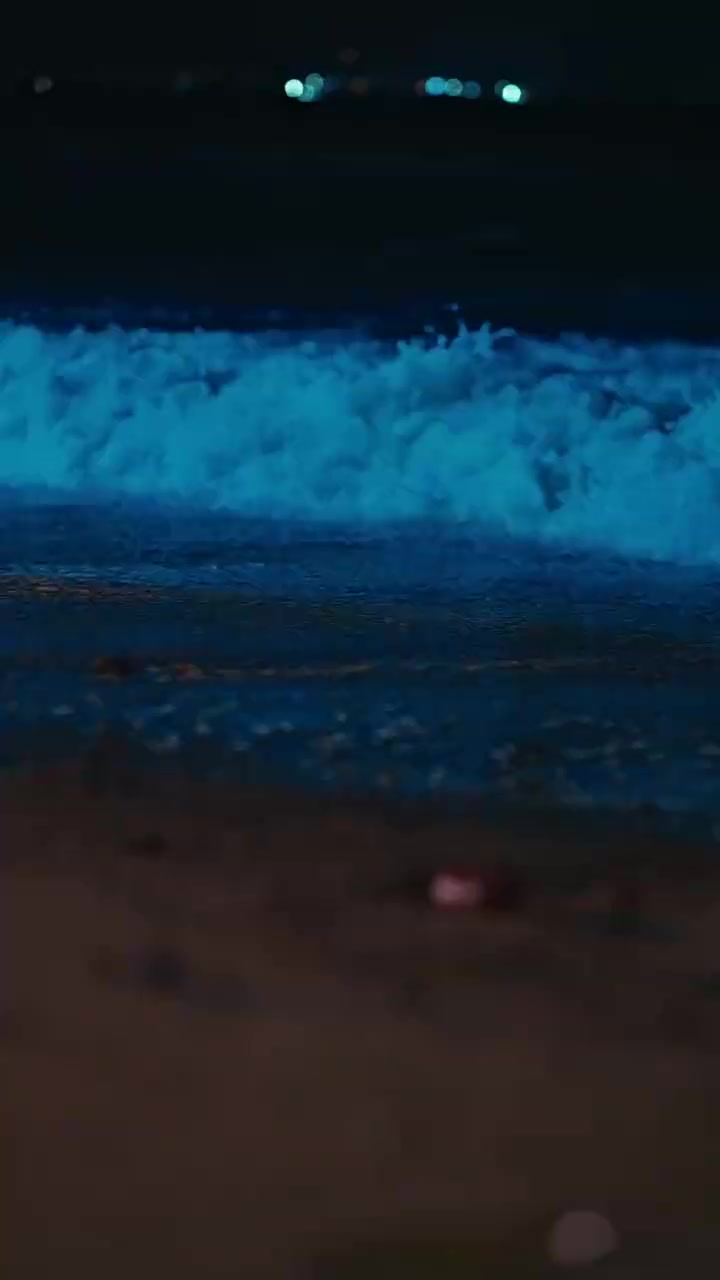 Episode 21