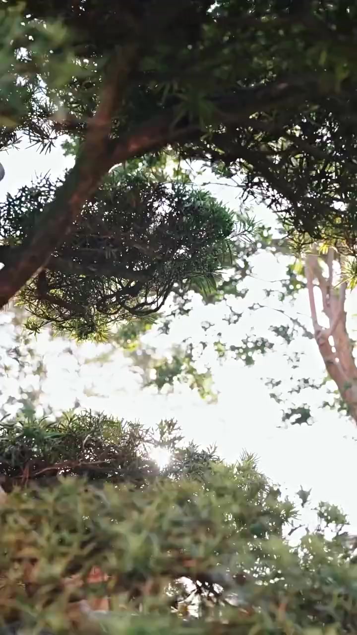 Episode 25