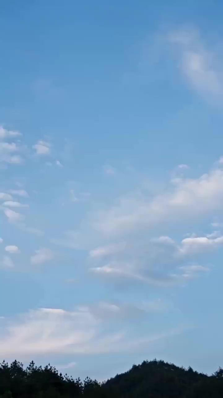 007