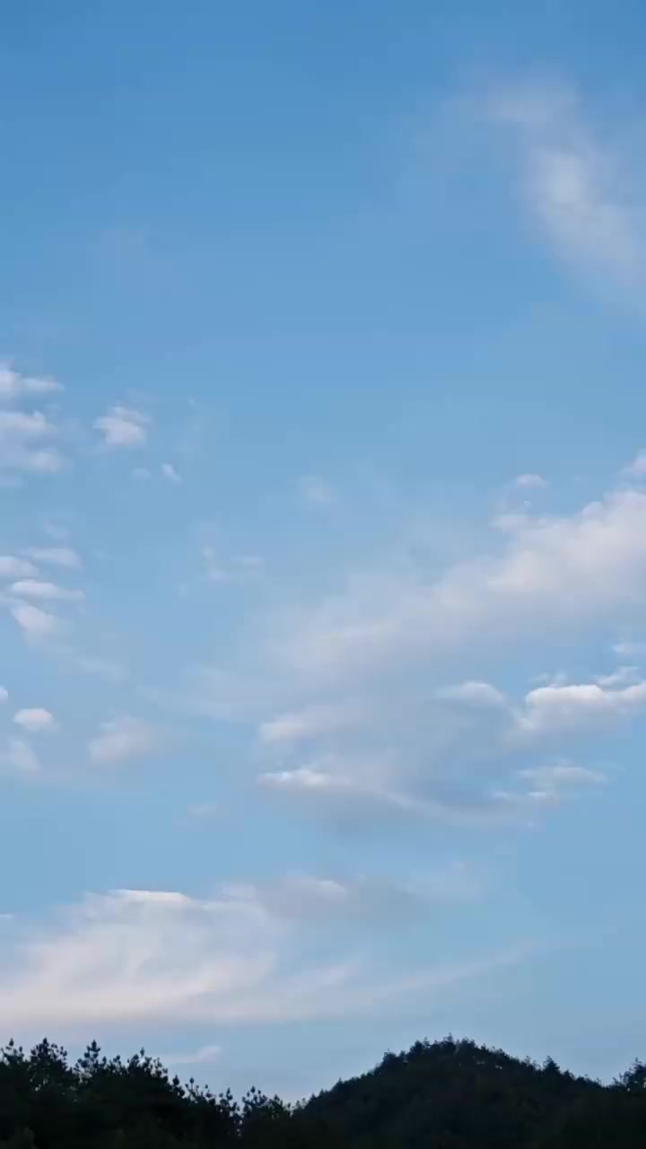 007