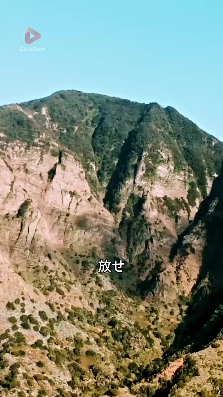 Episode 40