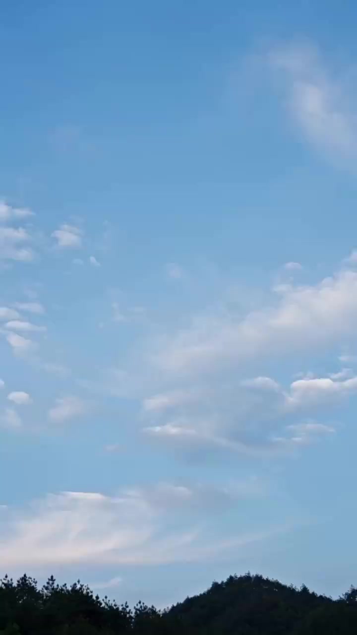 007