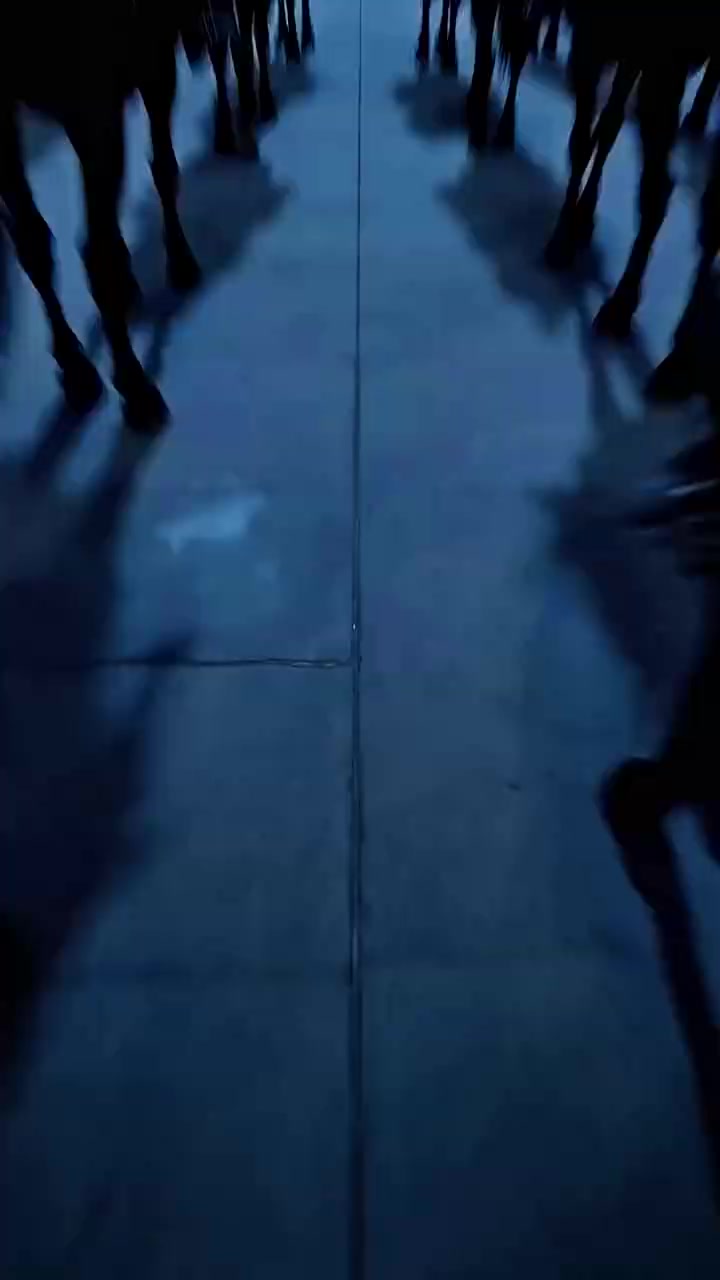Episode 26