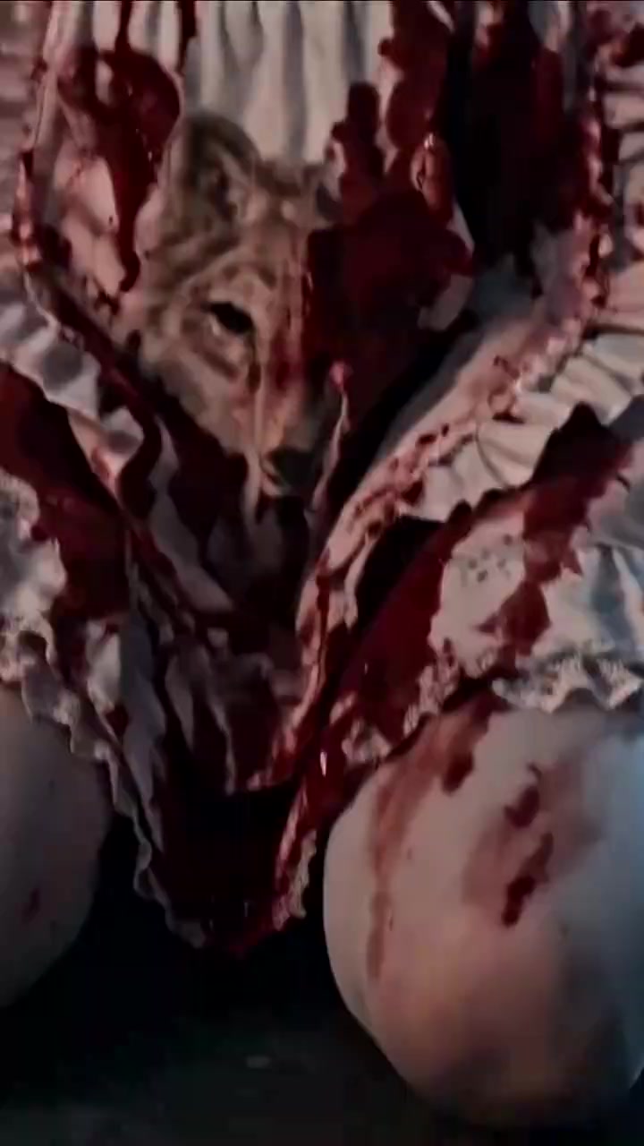 Episode 31